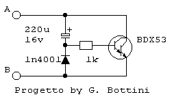 lucicortesia